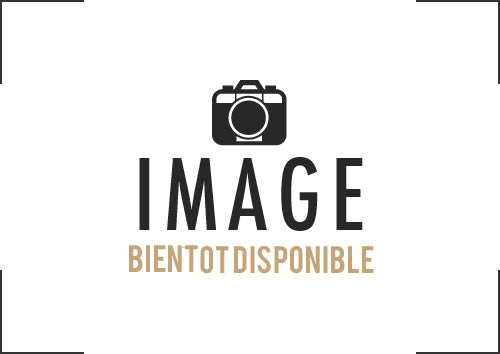 Sachet Mendiants Chocolat Lait, Noir et Blanc